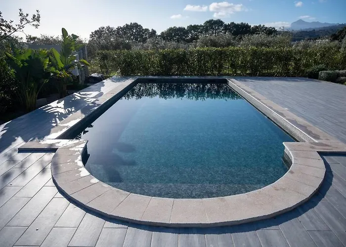 Rez De Maison Neuve Piscine Wifi Poolhouse En Pierre Penta di Casinca